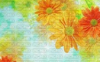 FLORES - 無料png