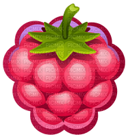 raspberry Bb2 - ilmainen png