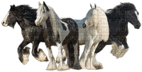 4wild horses - бесплатно png