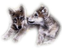 loups .S - Free PNG