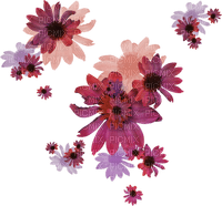 dolceluna flowers - Free PNG