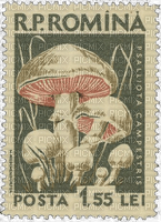 old romanian mushroom stamp - bezmaksas png