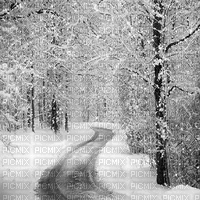 kikkapink winter animated forest path - Free animated GIF