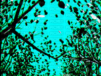 лес - 無料のアニメーション GIF