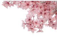 pink flowers - Безплатен анимиран GIF