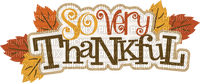 thanksgiving text - PNG gratuit