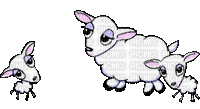 Moutons - 無料のアニメーション GIF