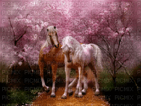 chevaux ** - Darmowy animowany GIF