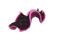 sea slug? - Gratis animerad GIF
