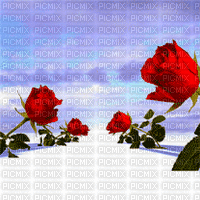 Nina roses background - GIF animado gratis