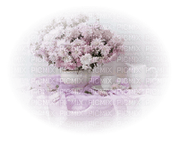 blomma-rosa-kaffekopp - ücretsiz png