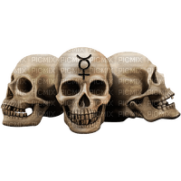 Gothic.Skulls.Black.White - PNG gratuit