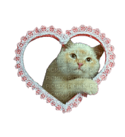 cat heart - безплатен png
