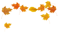 Kaz_Creations Autumn Fall Leaves Leafs - kostenlos png