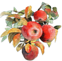 soave deco branch fruit apple red green - png gratuito