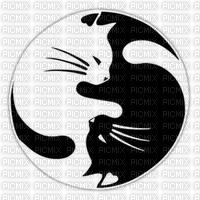 yin yang - png gratis