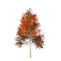 autumn Bb2 - ilmainen png