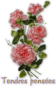 flowers pink rose bp - besplatni png