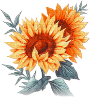 soave deco flowers sunflowers branch blue orange - PNG gratuit