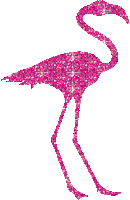 Flamingo bp