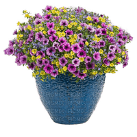Blumentopf - безплатен png