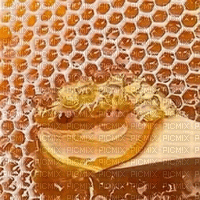 honey bp - Darmowy animowany GIF