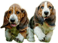dogs  by nataliplus - png gratis