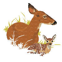 bambi - Nemokamas animacinis gif