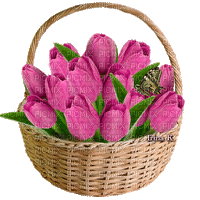 Basket of Animated Pink Tulips - Zdarma animovaný GIF