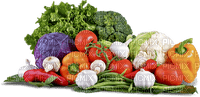 vegetables bp - zdarma png