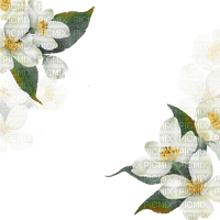 white floral border Bb2 - Free PNG