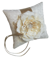 coussin.Cheyenne63 - png gratuito