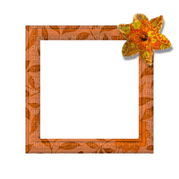 Small Orange Frame - ücretsiz png