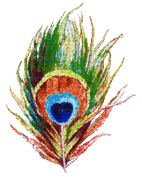 Peacock feather - Ingyenes animált GIF