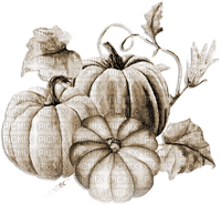 soave deco autumn thanksgiving vintage pumpkin - PNG gratuit
