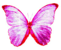 pink butterfly - GIF animé gratuit
