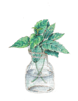 green leaves Bb2 - PNG gratuit