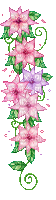 Flower Pink - by StormGalaxy05 - Gratis animeret GIF
