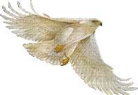 ,белый орёл - Nemokamas animacinis gif
