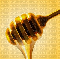 Background Honey - zdarma png