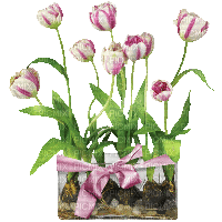 tulip gif (created with gimp) - 無料のアニメーション GIF