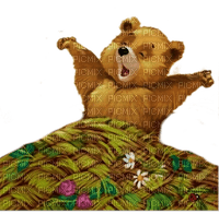 teddy bear teddybear morning night - paintinglounge - png ฟรี