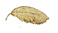 Gold Leaf - Bogusia - Free PNG