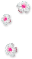 Flowers.White.Pink - PNG gratuit