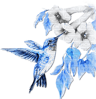 soave deco branch flowers summer spring bird - zadarmo png