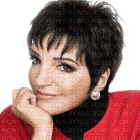 Liza Minnelli milla1959 - gratis png