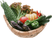 vegetables bp - nemokama png