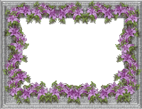 Cadre fleurs - Δωρεάν κινούμενο GIF