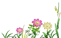 flowers - 免费动画 GIF
