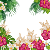 tropical palm flowers red green frame - ilmainen png